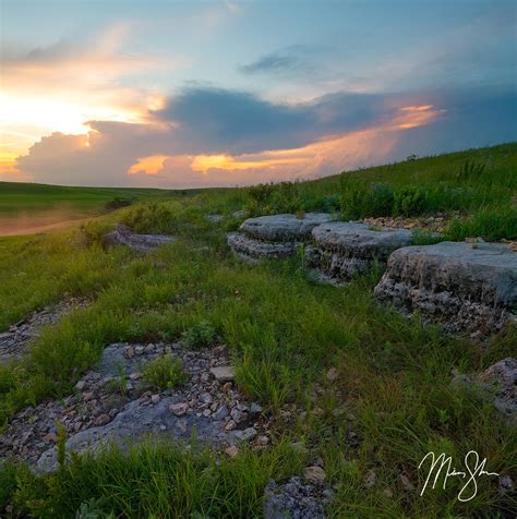 Description. Tallgrass Prairie National Preserve is located in the heart of the Flint Hills—the largest expanse of tallgrass prairie left in the world. It is the only unit of the National Park Service (NPS) that is dedicated to the rich natural history of the tallgrass prairie.. 