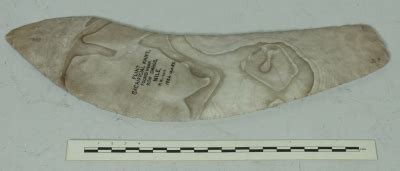 Flint knife 1884.140.82 - University of Oxford