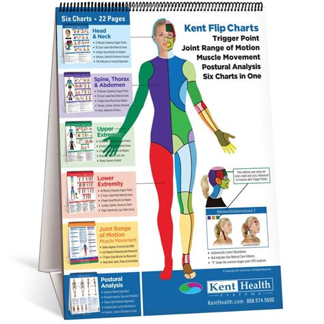 Flip Chart Trigger Point Kent Health Systems