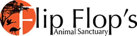 Flip Flop’s Animal Sanctuary - FlipFlop