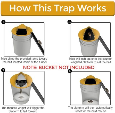 Flip N Slide Bucket Lid Mouse Trap - USAMERICA SHOP