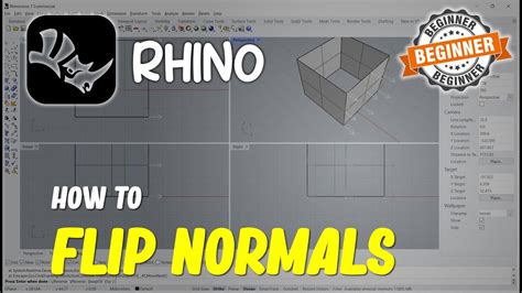 Flip surface normal rhino.  Arrows show the directions on curves or normal...