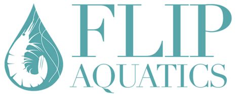 Flipaquatics - 182 reviews. Sold Out. Explore the Flip Aquatics Sale collection and seize incredible savings on essential aquatic treasures without a discount code. From freshwater …