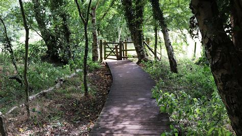 Flitwick Moor and Folly Wood - YouTube