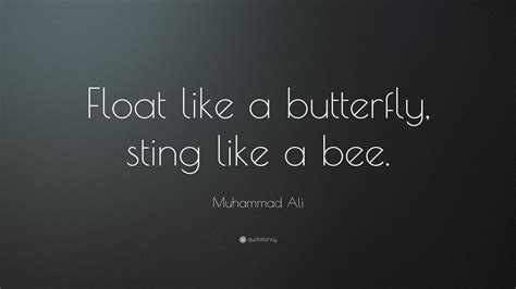 Float like a butterfly sting like a bee. Things To Know About Float like a butterfly sting like a bee. 