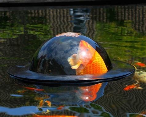 Floating Fish Dome - coolthings.com