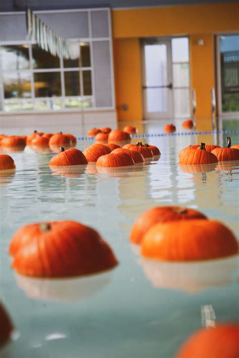 Floating Pumpkin Patch Dublin, CA - Official Website