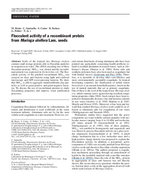 Flocculent activity of a recombinant protein from Moringa