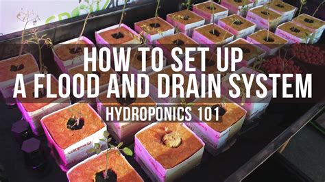 Flood and drain table.  The basic setup involves a flood and drain Flood tables are typically...