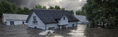Flood insurance lemonade. Things To Know About Flood insurance lemonade. 