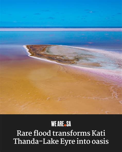 Flood transforms Asian eatery to strange attraction