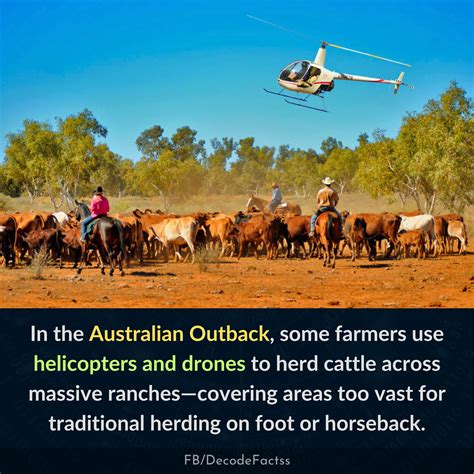 Flooded Outback: How Australian Farmers Use Drones & Helicopters to Rescue Livestock (2026)
