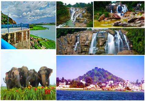 Flora and fauna Jharkhand at a Glance