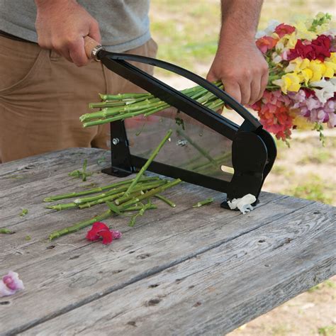 Floral Stem Cutter – Plantseedspark