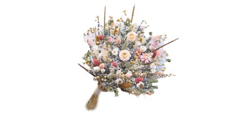 Flordeamatista Leaked XXX 💦 239 Videos