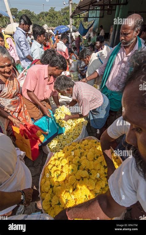 Flores  Messenger Madurai