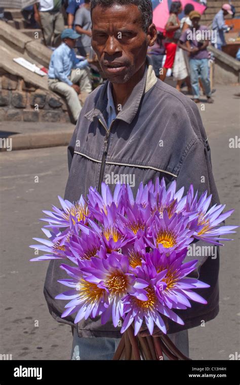 Flores Callum Messenger Antananarivo