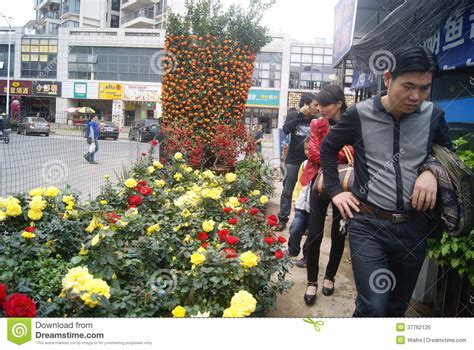 Flores David Yelp Shenzhen