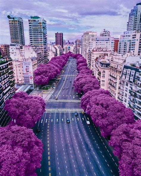 Flores Green Instagram Buenos Aires