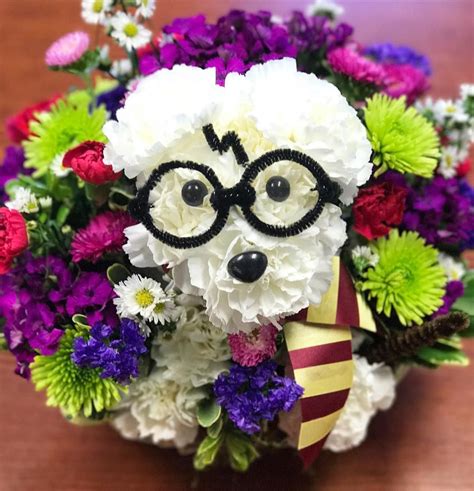 Flores Harry Linkedin Fukuoka