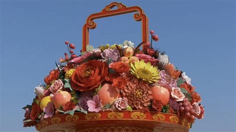 Flores Joan  Shijiazhuang