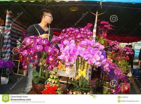 Flores Joan Messenger Shenzhen