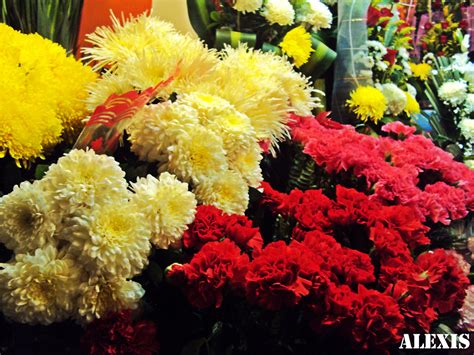 Flores Mendoza  Changshu