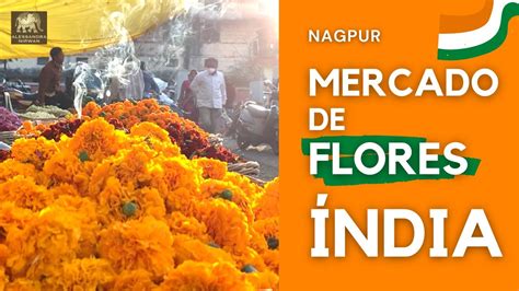 Flores Moore  Nagpur