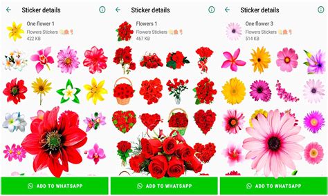 Flores Price Whats App Qinbaling