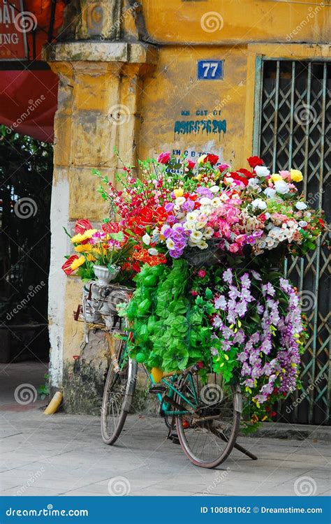 Flores Sanders  Hanoi
