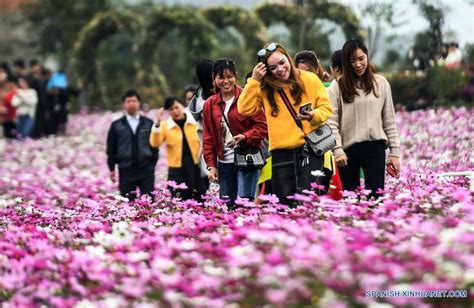 Flores Watson Instagram Qinzhou