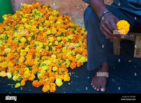 Flores William Photo Madurai