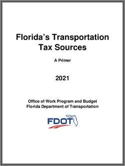 Florida’s Transportation Tax Sources