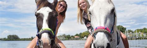 Florida Beach Horses in Bradenton, FL 34209 - (941) 527-9621