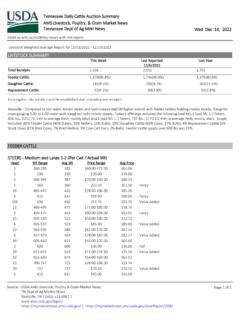 Florida Daily Livestock Auction Summary AMS Livestock, …