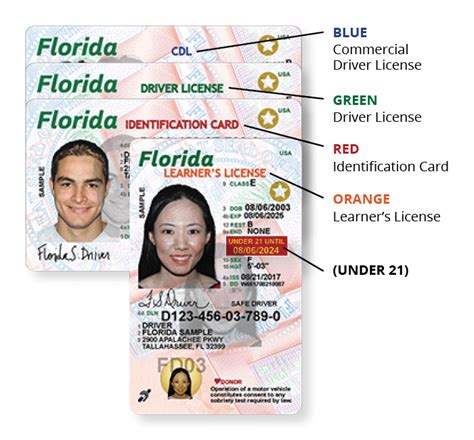 Florida New License Application Info D…