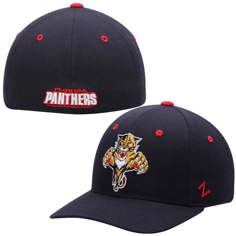 Florida Panthers Fitted Hat, Panthers Fitted Caps Lids.com