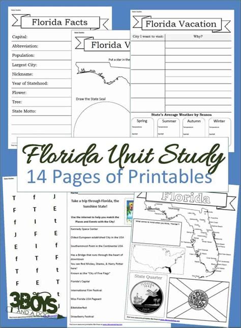 Florida State Fact File Worksheets