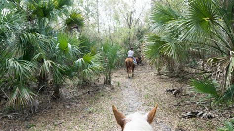 Florida Travel: Riding Lessons and Trail Rides at Horsing Around Ranch …