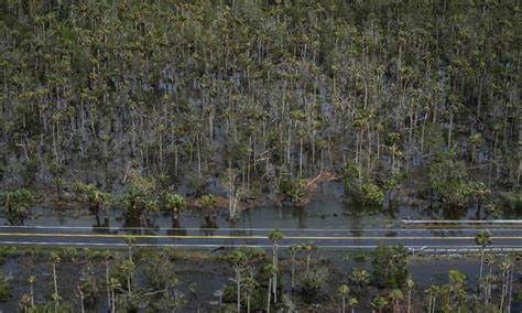 Florida agriculture losses between $78M and $371M from Hurricane Idalia, preliminary estimate says