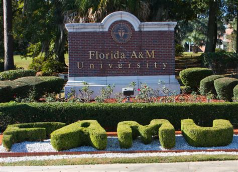 Florida am university. History. Every university has a history, but few have a history as unique and impressive as ours. For more than 130 years, Florida A&M University has served the citizens of the State of … 
