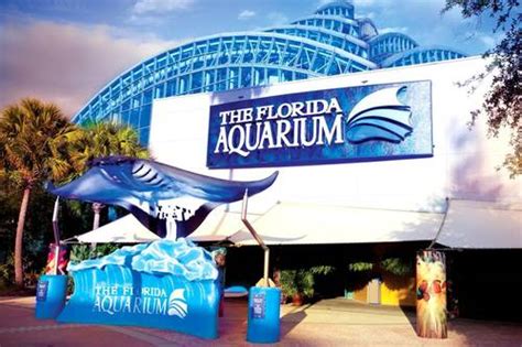 The Florida Aquarium Ticket price. The tickets for The Florida Aquarium: Skip The Line cost US$35 for all visitors between the ages of 13 and 59. Visitors over 60 can get a discount of US$3 and pay only US$32. Children between the ages of three to 12 years need to pay only US$30 and get a US$5 discount.