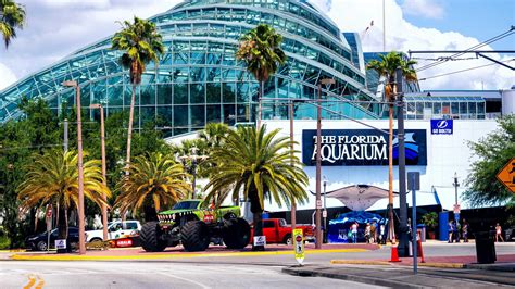 Florida aquarium tampa fl. How To Find Us. 701 Channelside Drive Tampa, Florida 33602. Hours of Admission. Monday - Sunday: 9:30 AM - 5:00 PM. Phone: (813) 273-4000 Email: moreinfo@flaquarium.org Connect With Us. The Florida Aquarium Twitter 