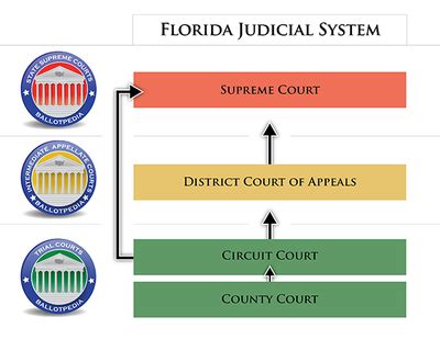 Florida court system diagram. .  <a href=https://hmail.halsell.com/assets/imag...
