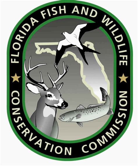 Florida fish and wildlife phone number. Things To Know About Florida fish and wildlife phone number. 