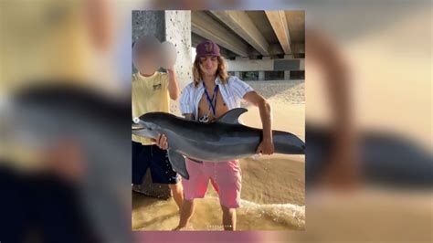 Florida fisherman faces backlash for posting photo touching young dolphin, issues apology