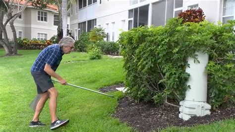 Florida homeowner captures dozens of invasive cane toads threatening community, pets