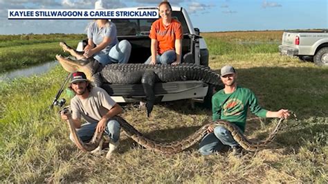 Florida hunters encounter massive python while gator hunting in Brevard County
