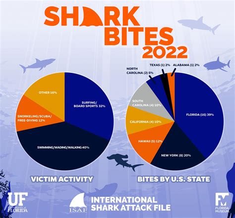 Florida is the shark bite capital of the world — The Daily Jaws