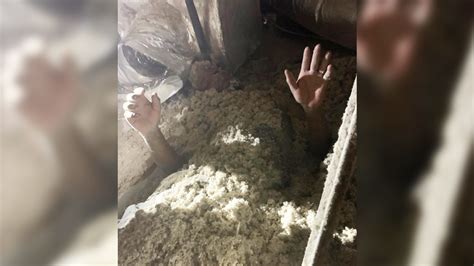 Florida man hides from deputies in insulation pile: authorities